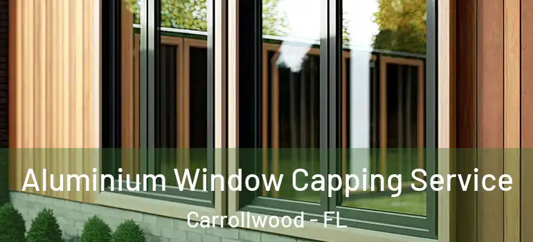  Aluminium Window Capping Service Carrollwood - FL