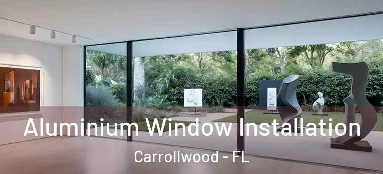  Aluminium Window Installation Carrollwood - FL
