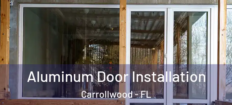  Aluminum Door Installation Carrollwood - FL