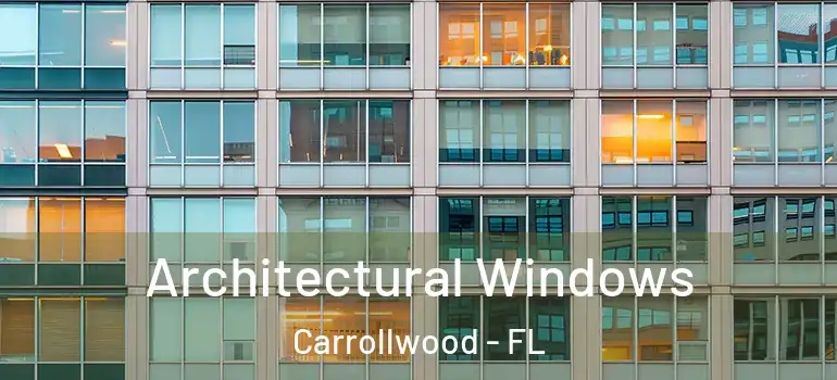  Architectural Windows Carrollwood - FL