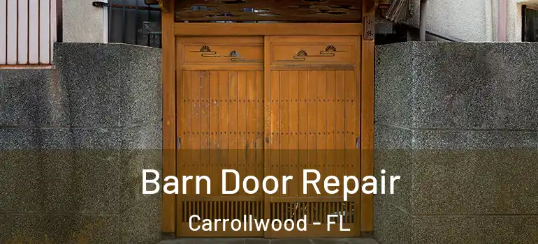  Barn Door Repair Carrollwood - FL