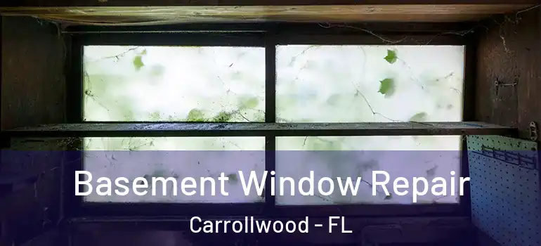  Basement Window Repair Carrollwood - FL