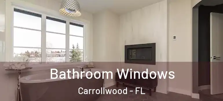  Bathroom Windows Carrollwood - FL