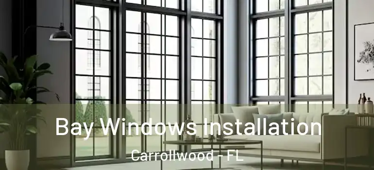 Bay Windows Installation Carrollwood - FL