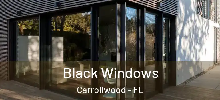  Black Windows Carrollwood - FL