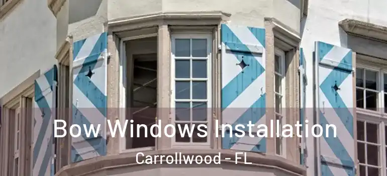  Bow Windows Installation Carrollwood - FL