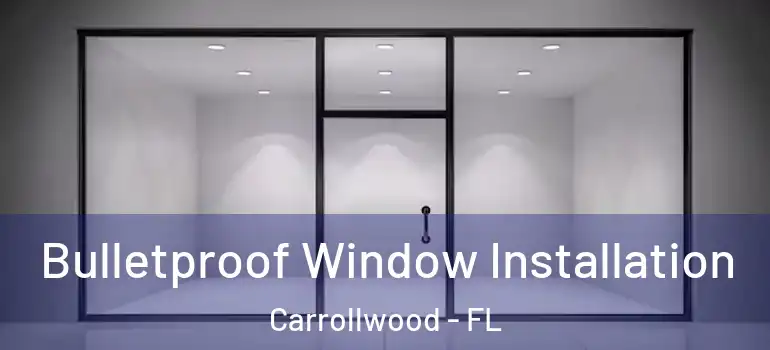  Bulletproof Window Installation Carrollwood - FL
