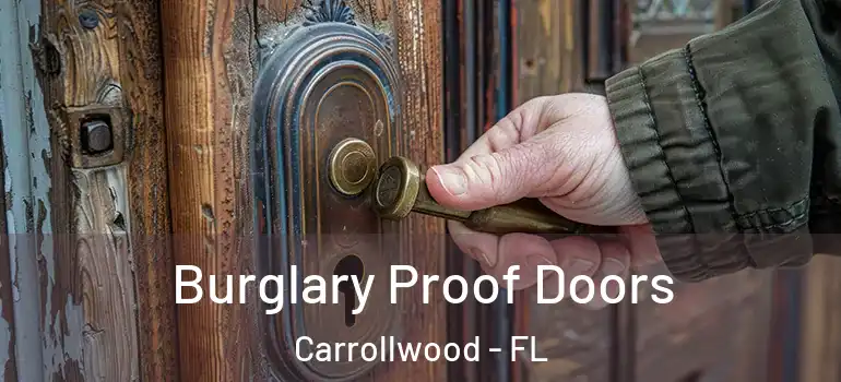  Burglary Proof Doors Carrollwood - FL