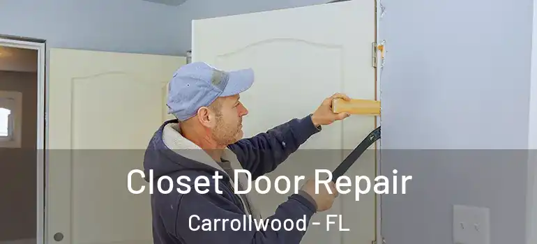  Closet Door Repair Carrollwood - FL