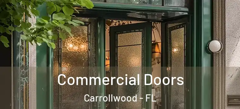  Commercial Doors Carrollwood - FL