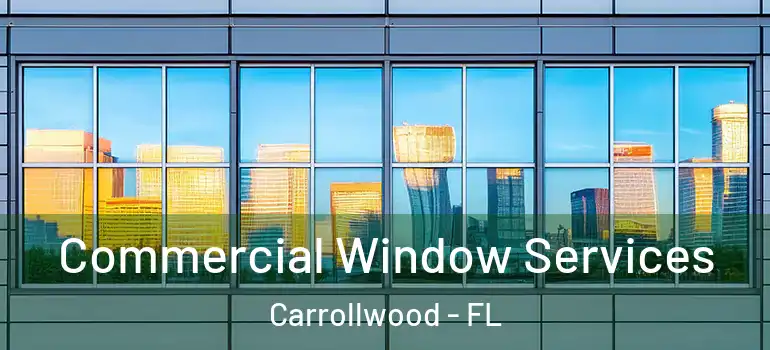  Commercial Window Services Carrollwood - FL
