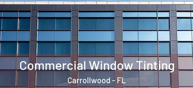 Commercial Window Tinting Carrollwood - FL