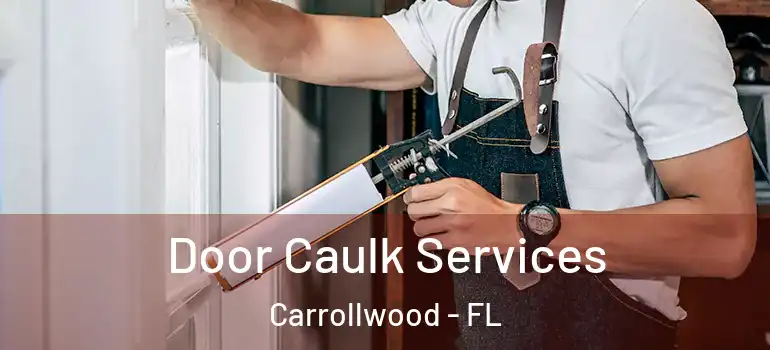  Door Caulk Services Carrollwood - FL