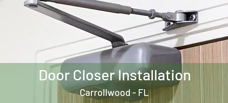  Door Closer Installation Carrollwood - FL