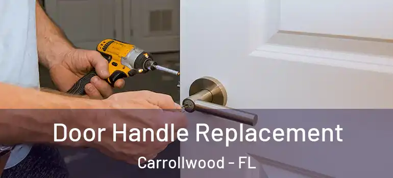  Door Handle Replacement Carrollwood - FL