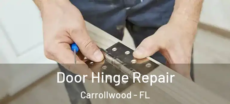  Door Hinge Repair Carrollwood - FL