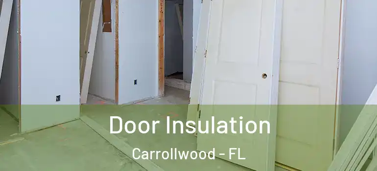  Door Insulation Carrollwood - FL