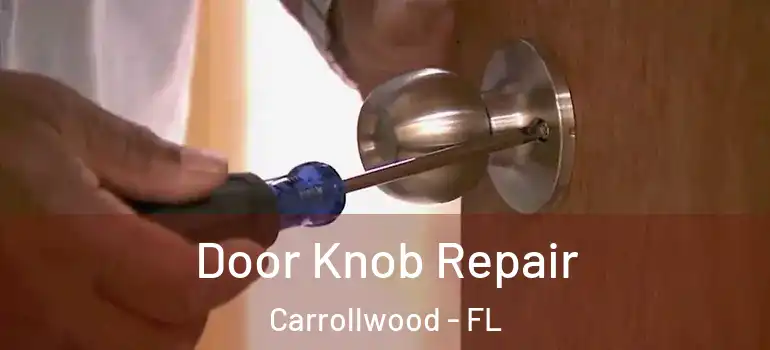  Door Knob Repair Carrollwood - FL