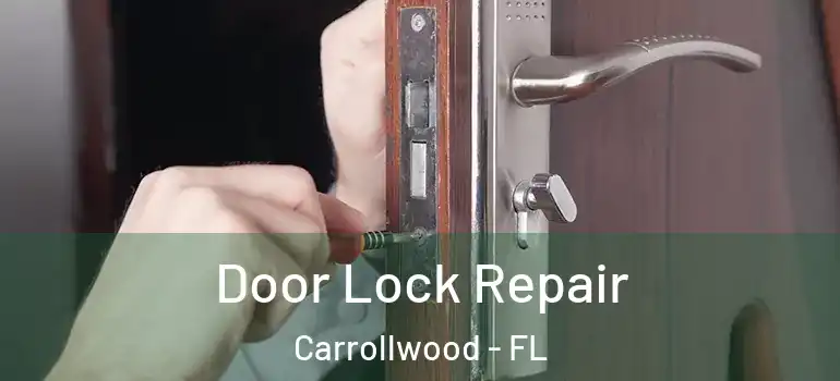  Door Lock Repair Carrollwood - FL
