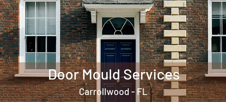  Door Mould Services Carrollwood - FL