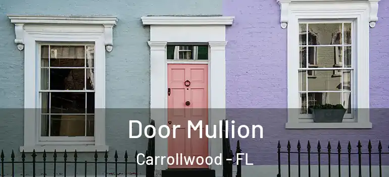  Door Mullion Carrollwood - FL