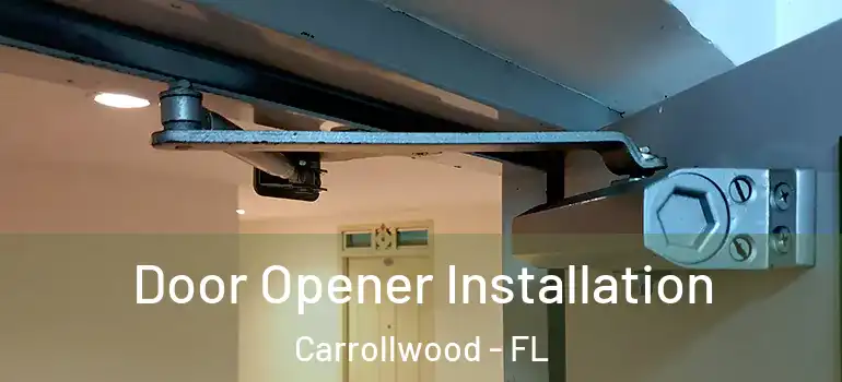  Door Opener Installation Carrollwood - FL