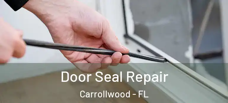  Door Seal Repair Carrollwood - FL