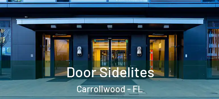  Door Sidelites Carrollwood - FL