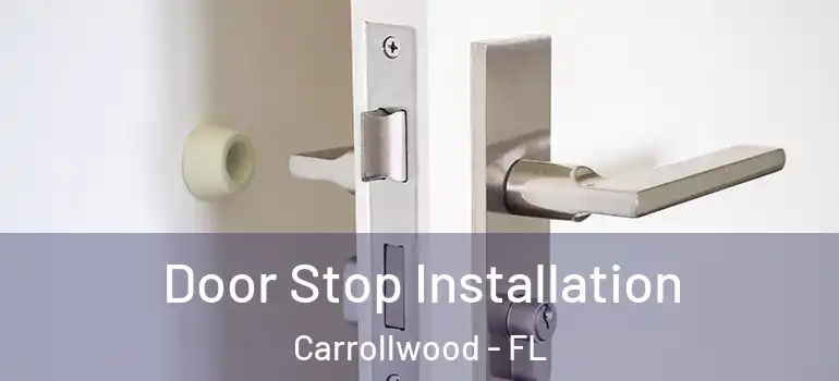  Door Stop Installation Carrollwood - FL