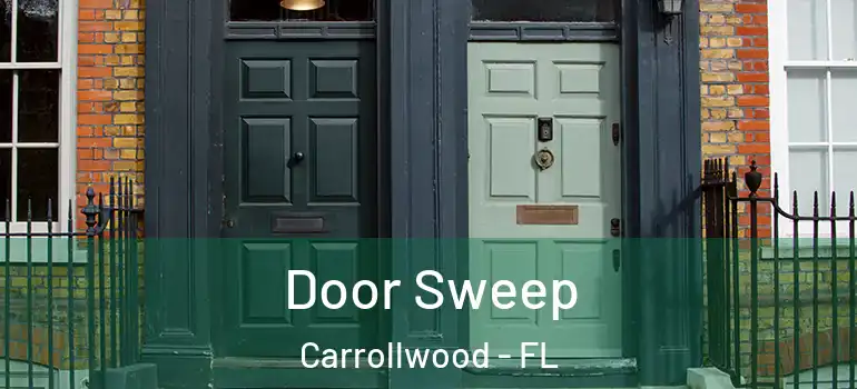  Door Sweep Carrollwood - FL