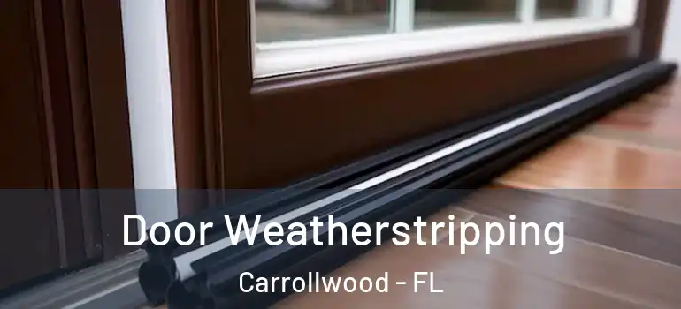  Door Weatherstripping Carrollwood - FL