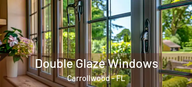  Double Glaze Windows Carrollwood - FL