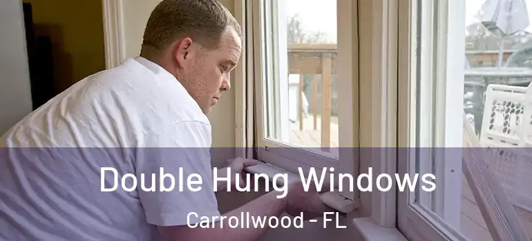  Double Hung Windows Carrollwood - FL