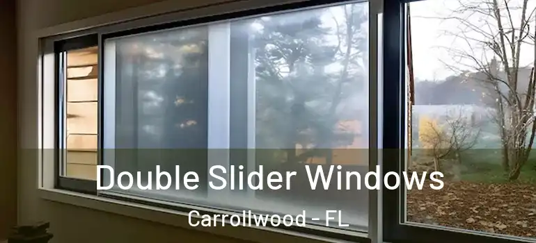  Double Slider Windows Carrollwood - FL