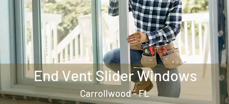  End Vent Slider Windows Carrollwood - FL