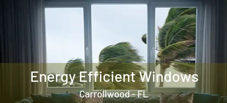  Energy Efficient Windows Carrollwood - FL