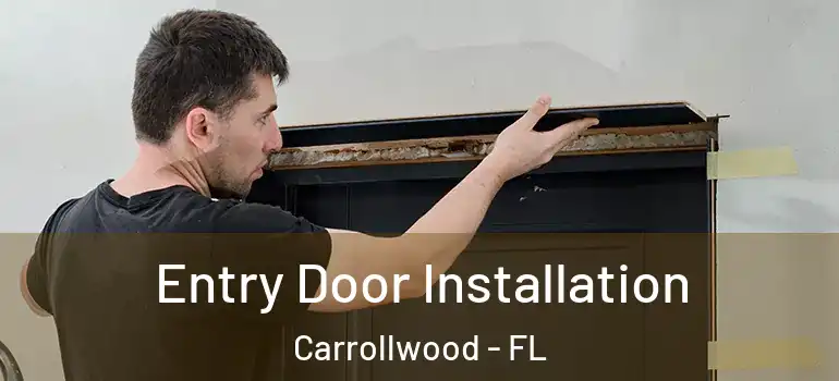  Entry Door Installation Carrollwood - FL