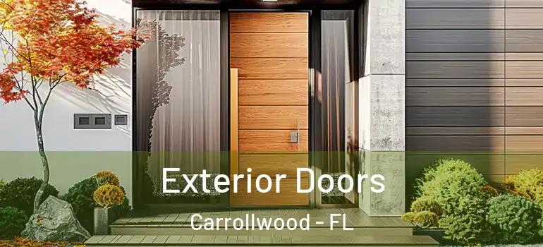  Exterior Doors Carrollwood - FL