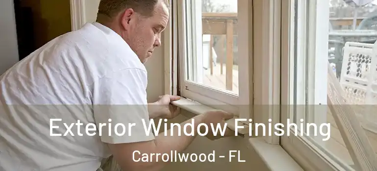  Exterior Window Finishing Carrollwood - FL