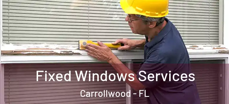  Fixed Windows Services Carrollwood - FL