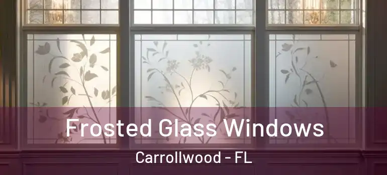  Frosted Glass Windows Carrollwood - FL