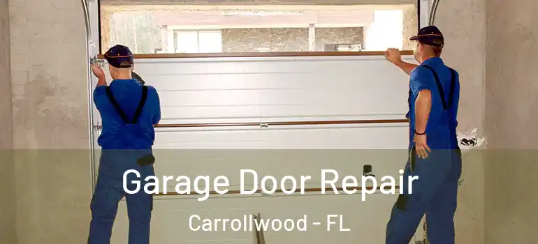  Garage Door Repair Carrollwood - FL