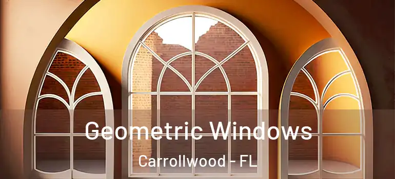  Geometric Windows Carrollwood - FL