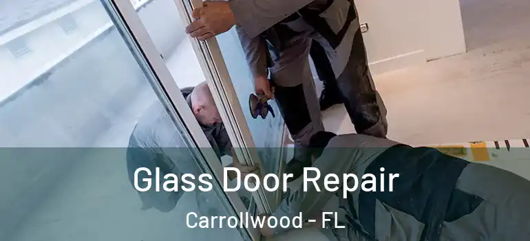  Glass Door Repair Carrollwood - FL