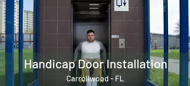  Handicap Door Installation Carrollwood - FL