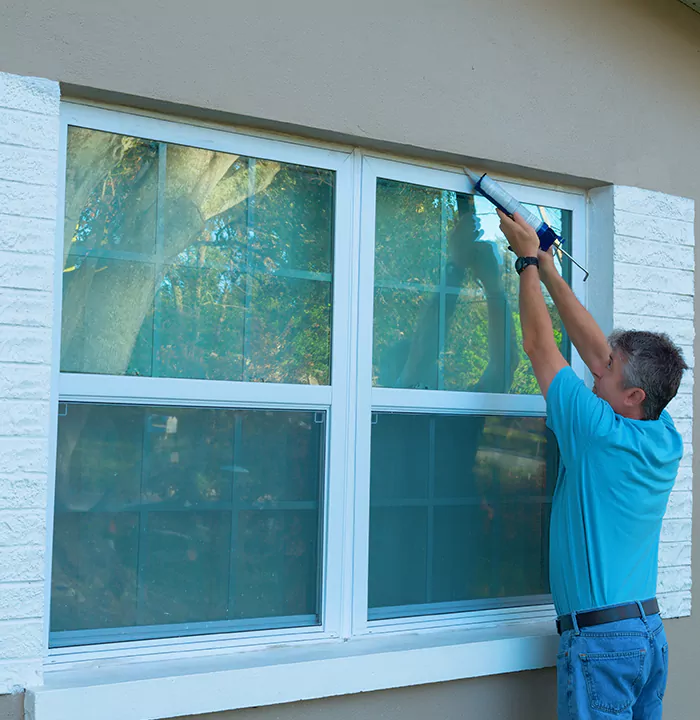 Modern Windows in Carrollwood, FL