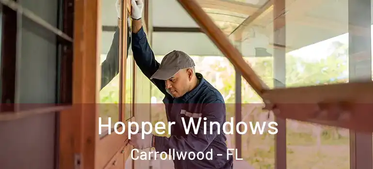  Hopper Windows Carrollwood - FL