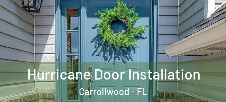  Hurricane Door Installation Carrollwood - FL