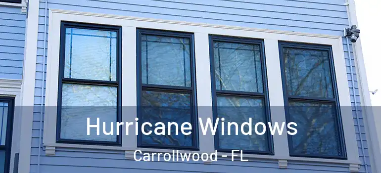  Hurricane Windows Carrollwood - FL