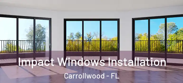  Impact Windows Installation Carrollwood - FL